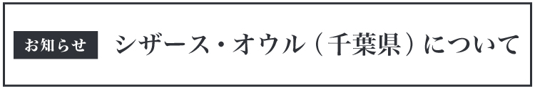 シザース・オウルについて