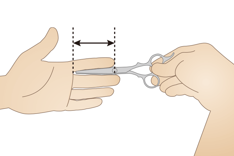 シザーの長さの目安